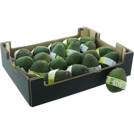 BIO AVOCAT BANDEAU 18PCS